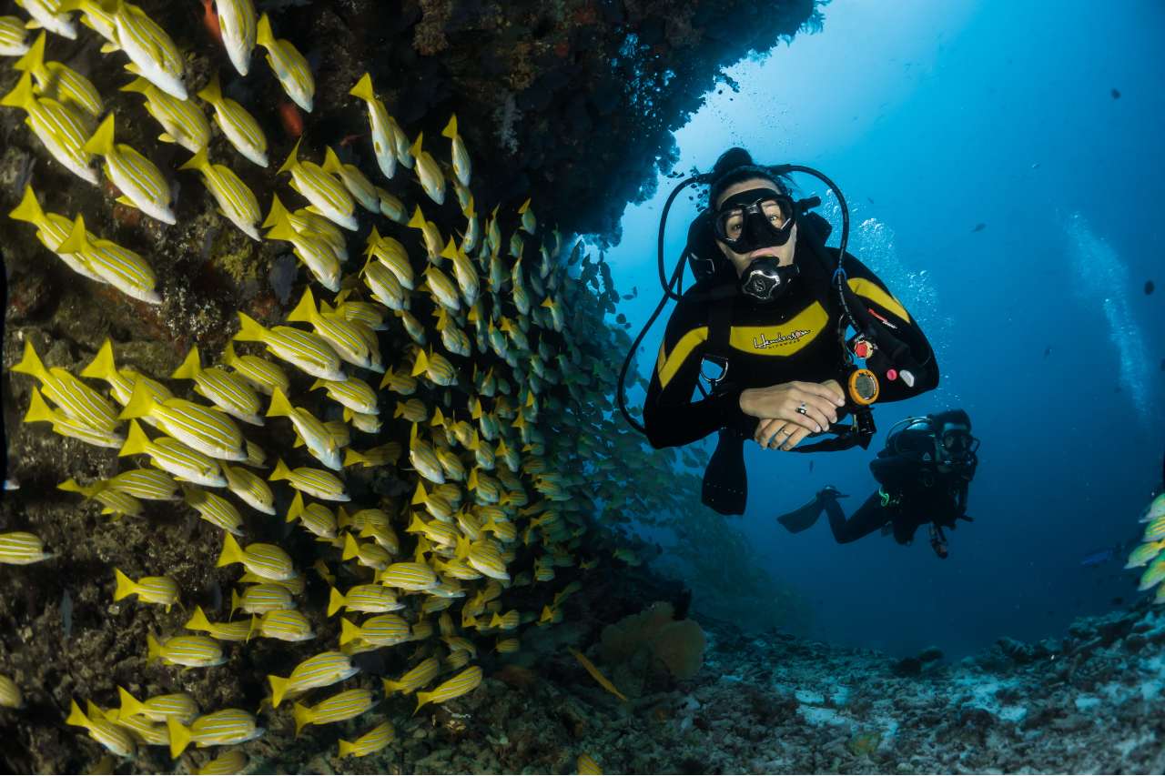 Diving in Amed