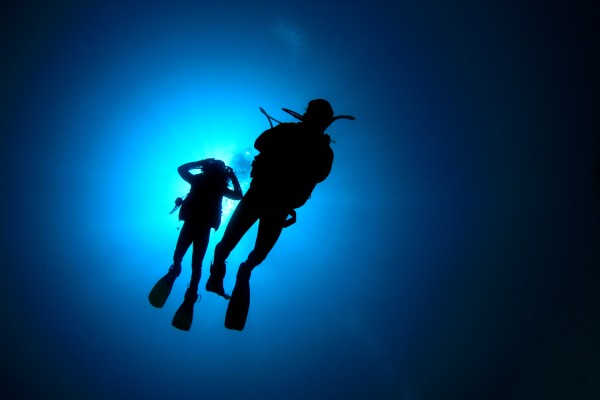 Scuba Divers Diving