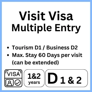 d2 d1 multiple entry visa application
